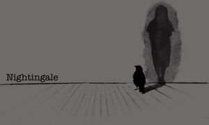 Nightingale Web Feature.jpg