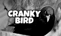 Cranky bird promo card.png