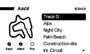 P-Racing race screen.png